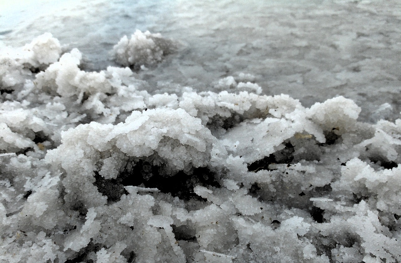 Unraveling the Causes of Fungal Infections on the Skin