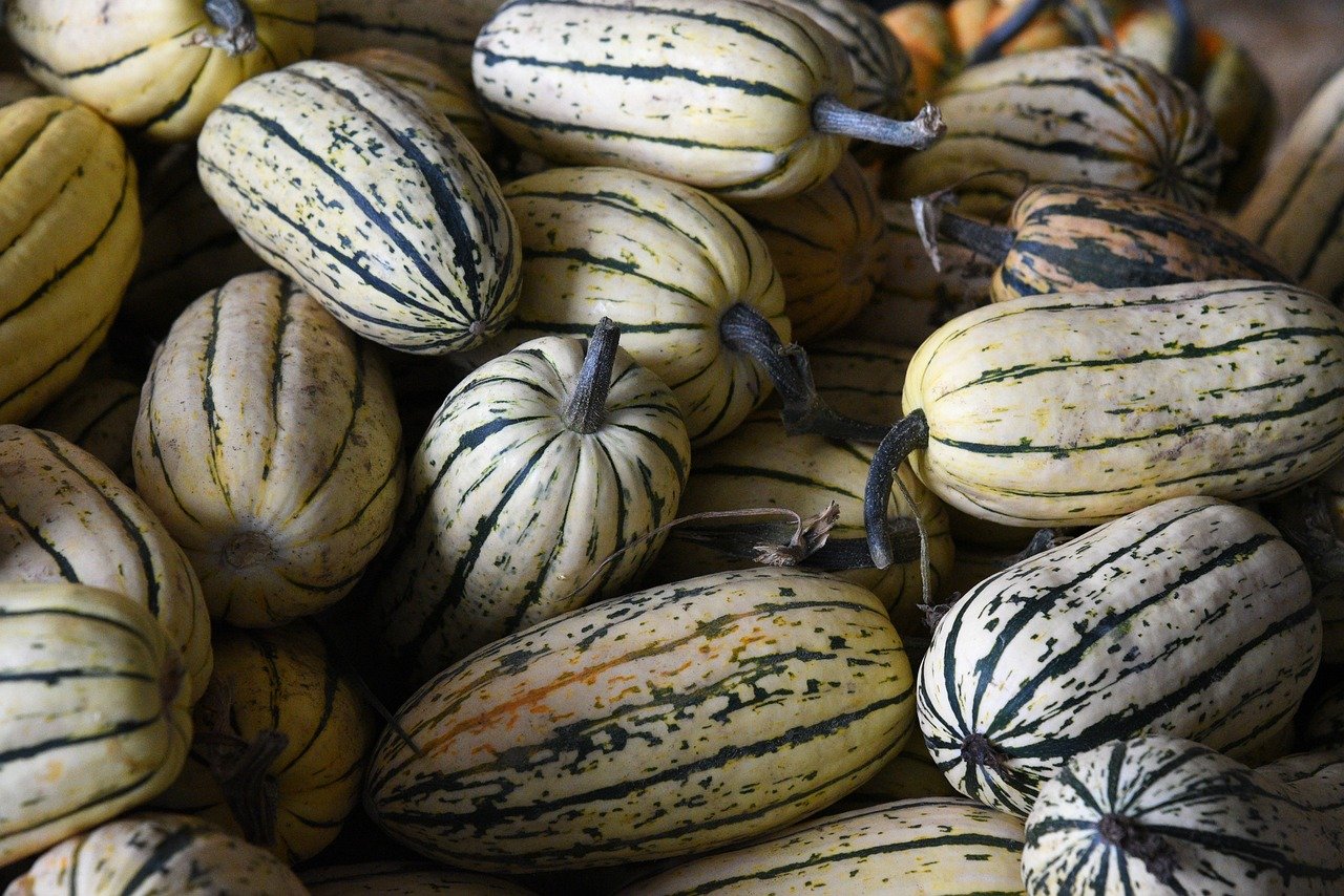Best Magnesium for Pregnant Women